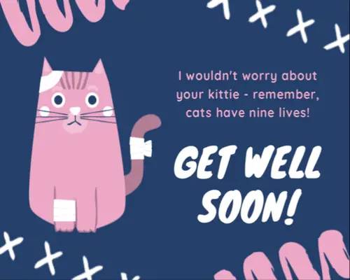 get well message for a cat kittie nine lives