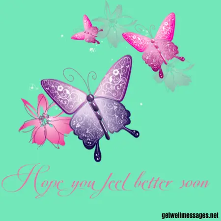 butterflies hope you feel better soon