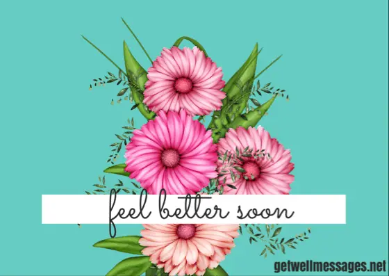 feel better soon flowers image