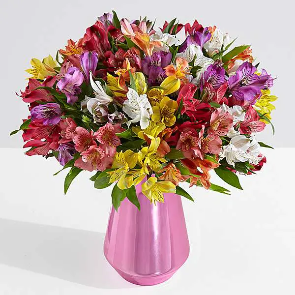multi colored 100 peruvian lillies with clear vase