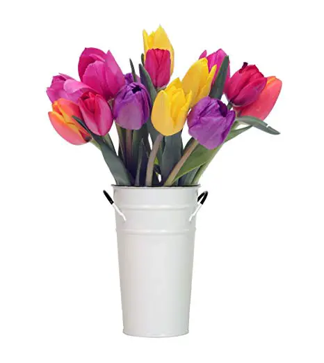 happy bouquet bright colorful tulips