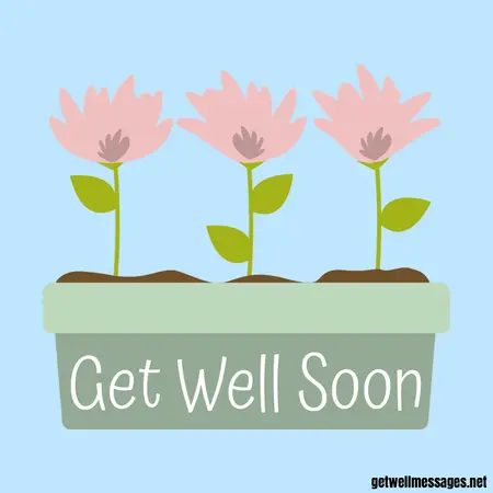 get well soon flower pot