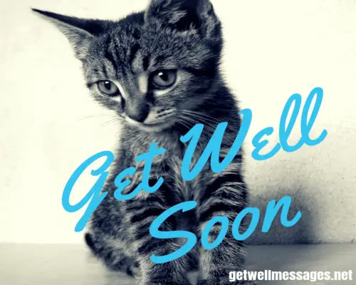 Get Well Soon Cat