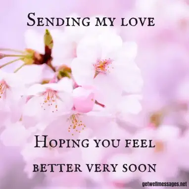 51 Get Well Images With Heartfelt Quotes Get Well Messages